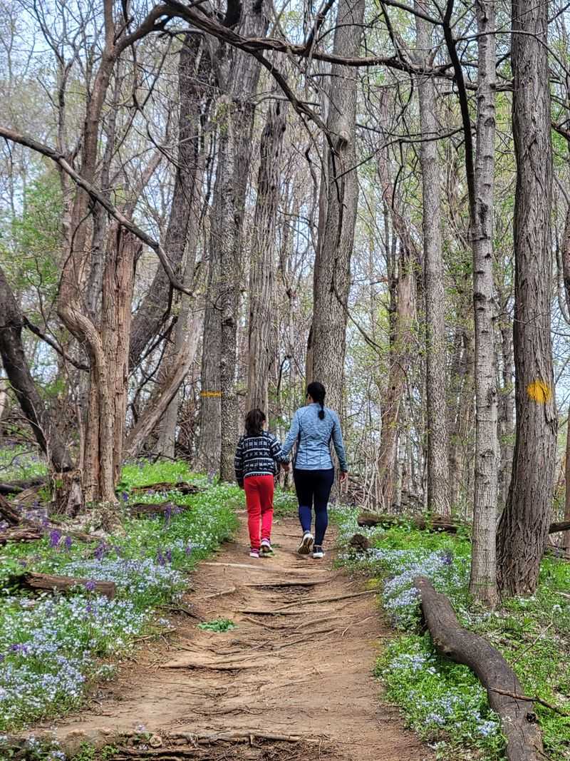 Hike Eagle Glen and Scenic Overlook Loops