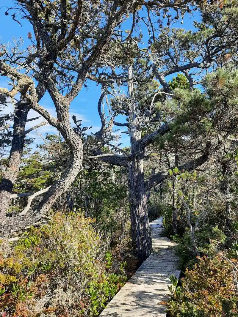 Walk the Ecological Staircase trail