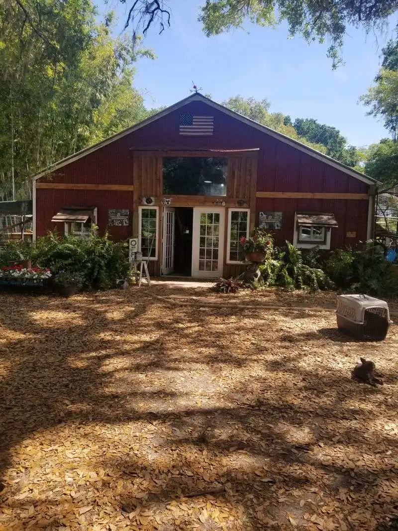 Practical Info: Hours, Contact, and What To Bring