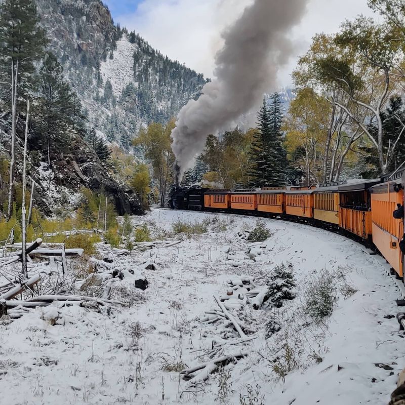 Seasons on the Line: Winter Sparkle to Autumn Gold