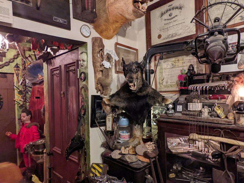 Oddity Postcard Wall