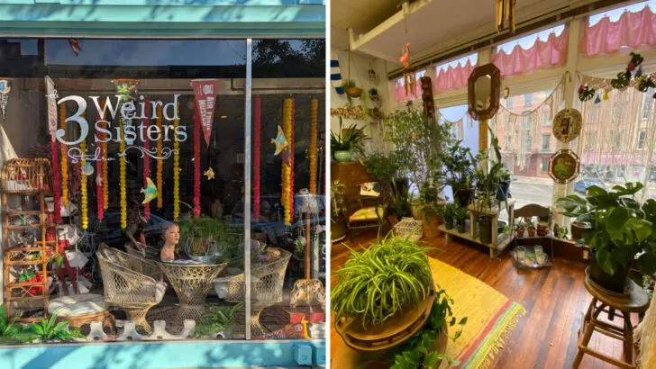 Step inside this Ohio shop packed with strange and fascinating finds