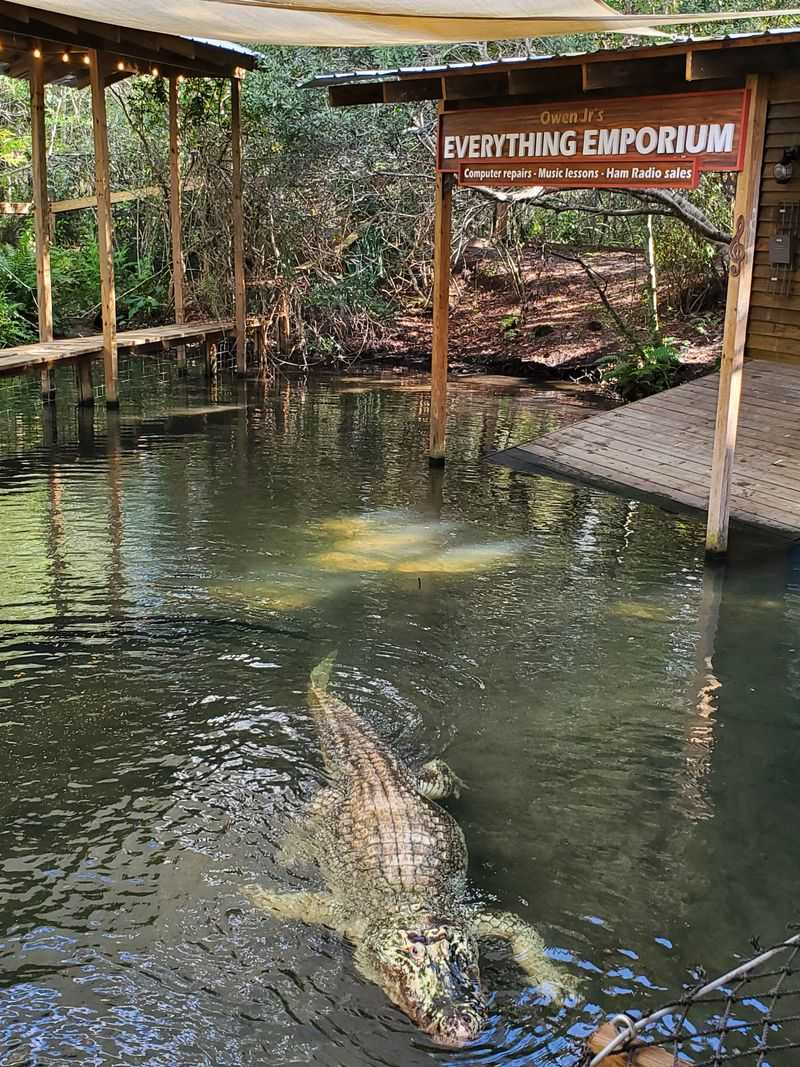 Trainer-For-A-Day Experience