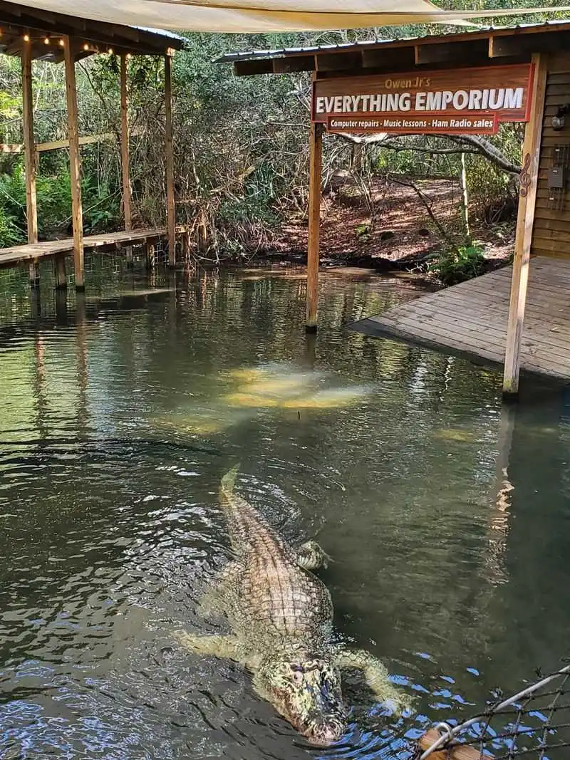 Trainer-For-A-Day Experience