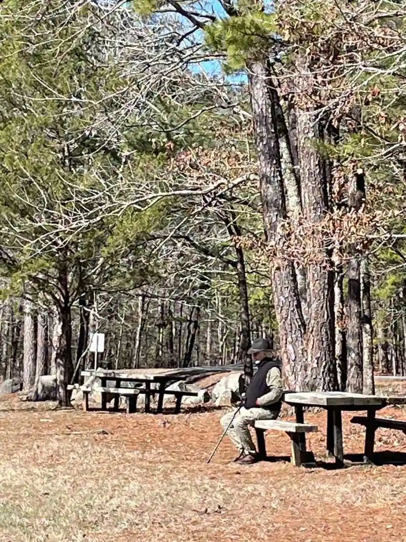 Family Friendly Loops and Picnic Spots