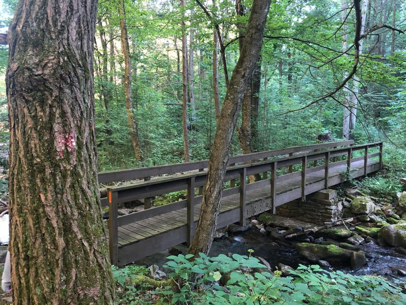 Old Rail Grade Biking Loop