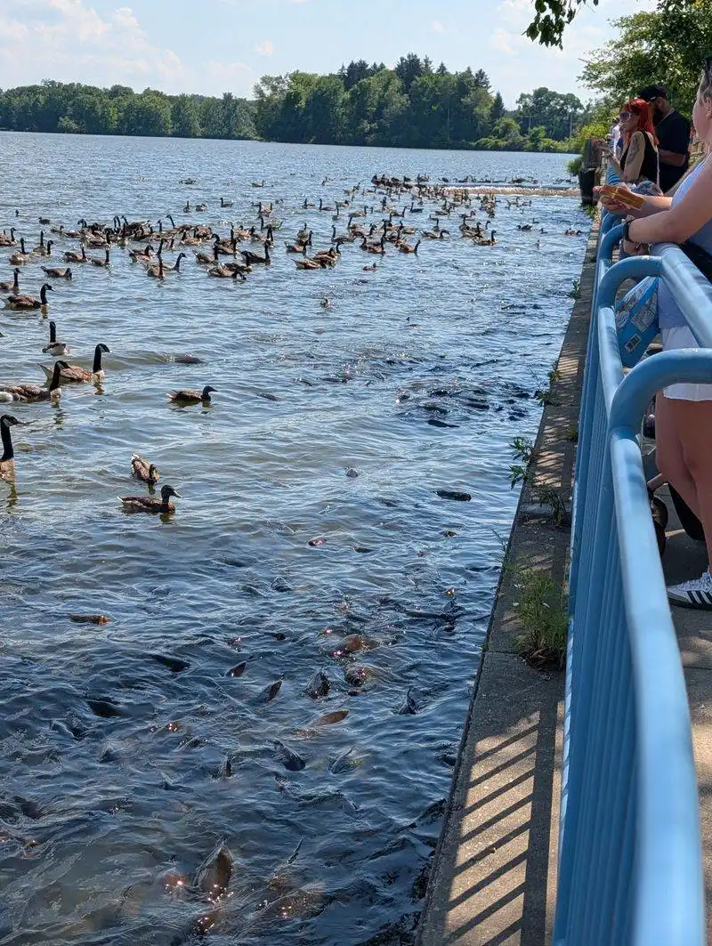 Linesville Spillway Quiet Edges
