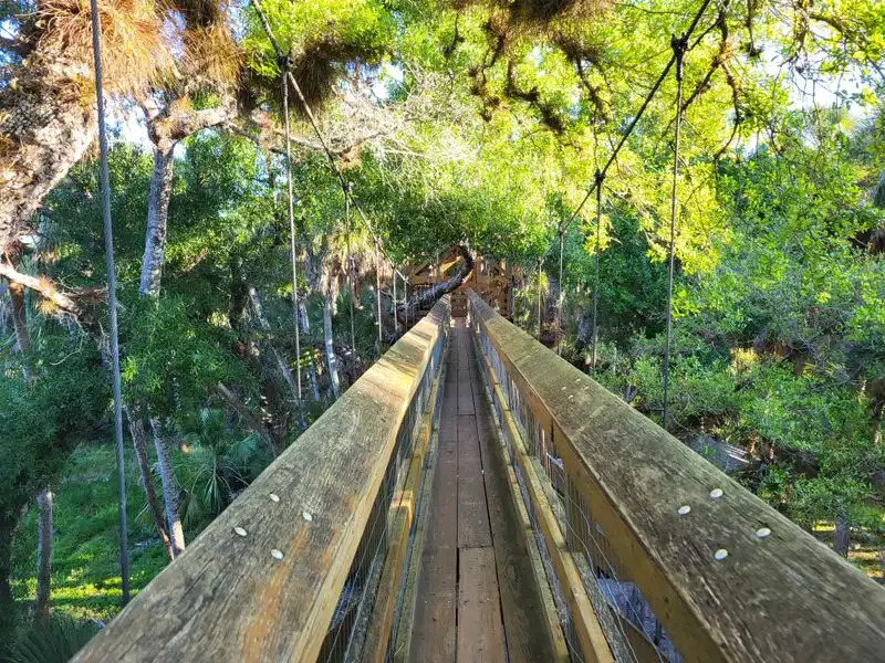 Canopy Walkway and Tower