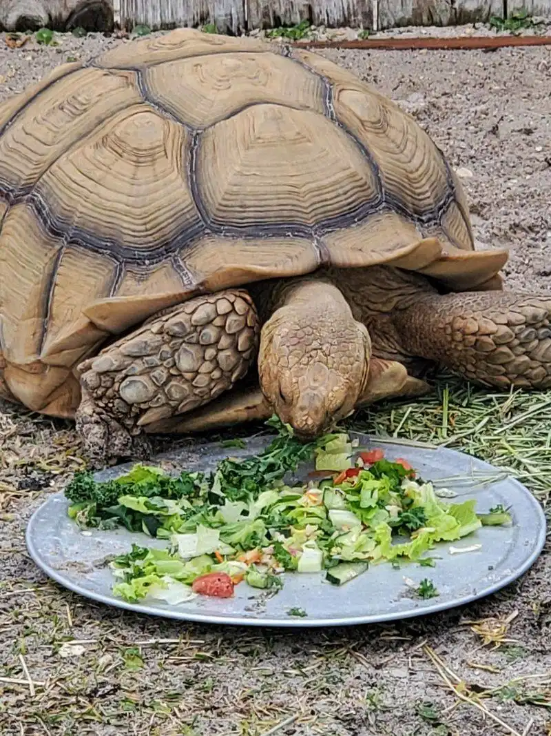 Exploring Navarre Beach Marine Park And Dunes