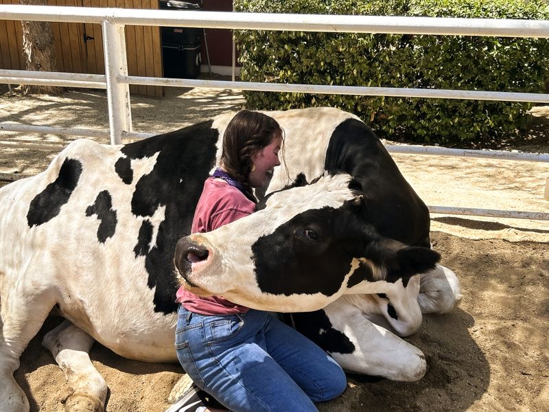 The Gentle Barn - Santa Clarita, California
