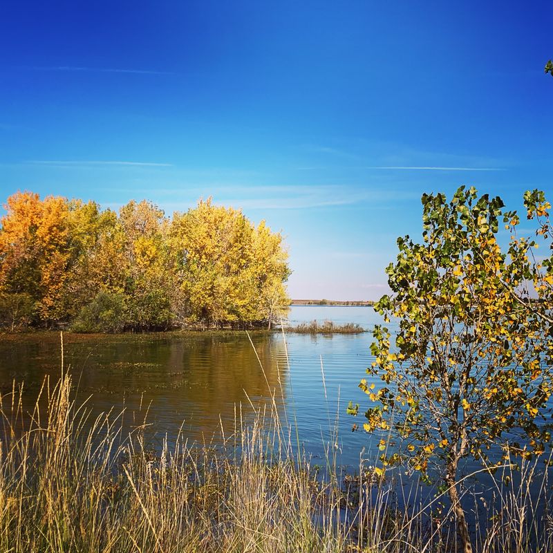 Boyd Lake State Park
