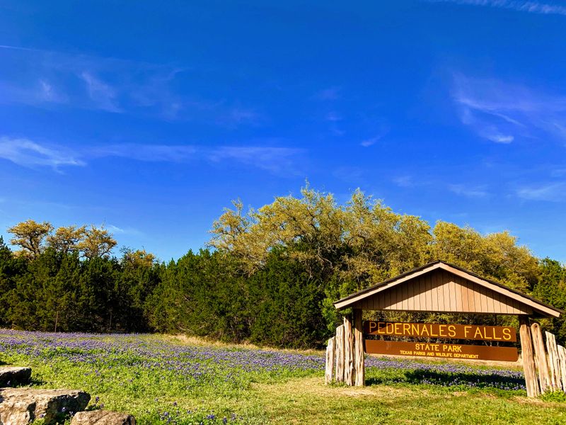 Camping Options for Every Outdoor Style