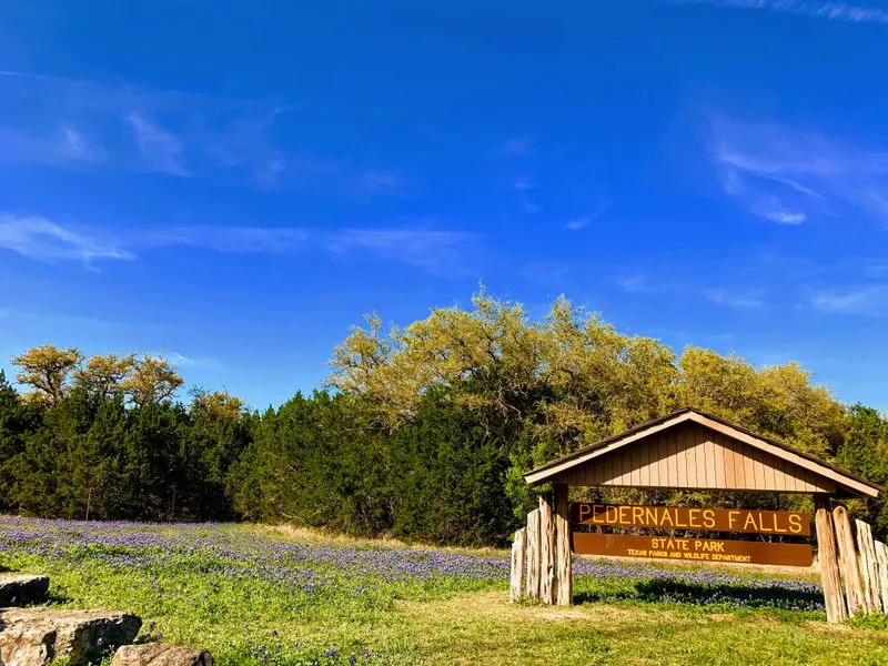 Camping Options for Every Outdoor Style