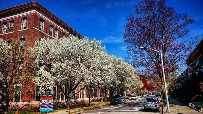 Baltimore, Maryland &mdash; Charles Village Koreatown