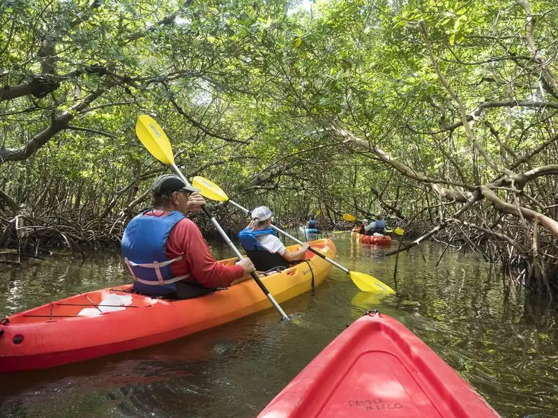 Kayak the Mangrove Tunnels of Florida Bay