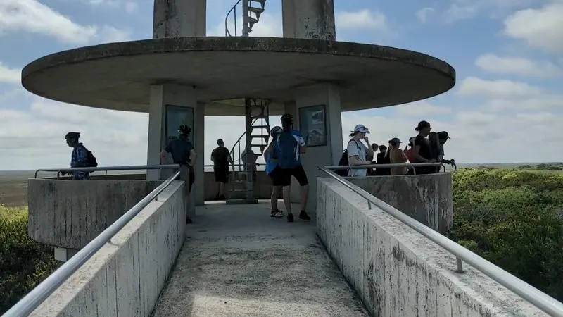Observation Tower