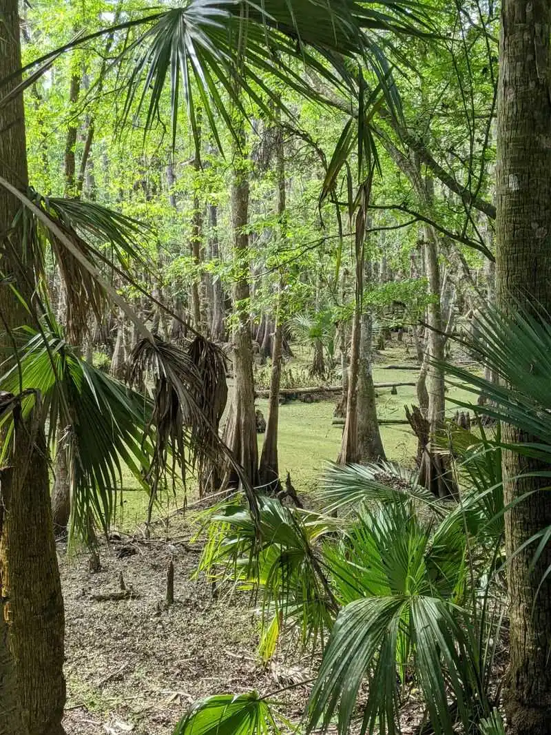 What Shell Mounds Represent