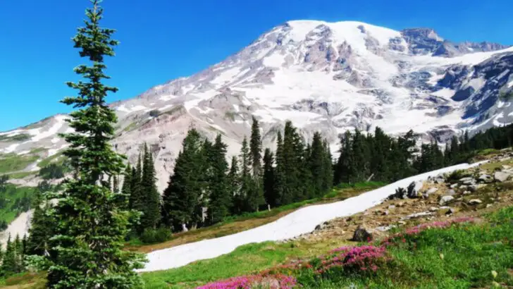 The Best Horseback Riding Trails in Every Western State