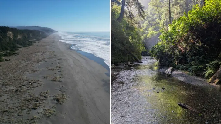 The California state park that looks like it hasn&rsquo;t changed in millions of years