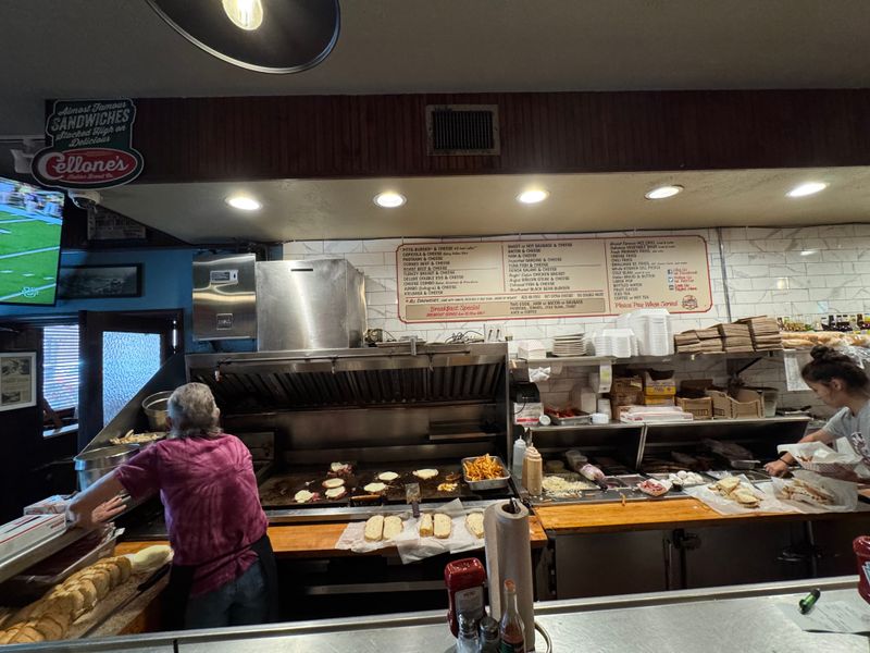 Pittsburgher Cheese Steak