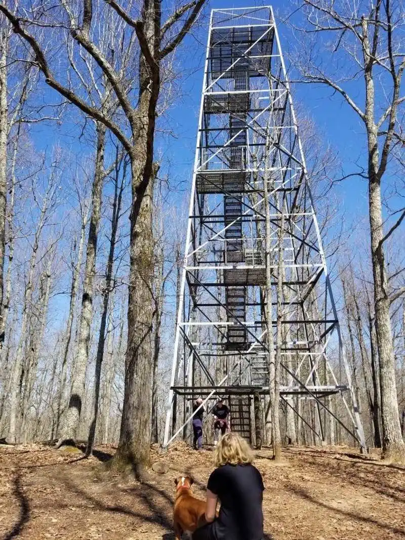 Panoramic Views From the Observation Tower