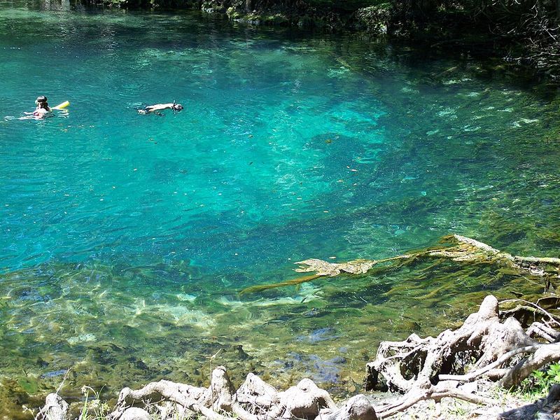 Crystal-Clear Springs