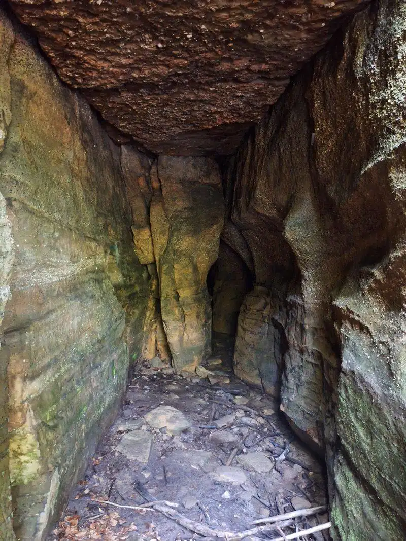 Ice Box Cave and Unique Microclimates