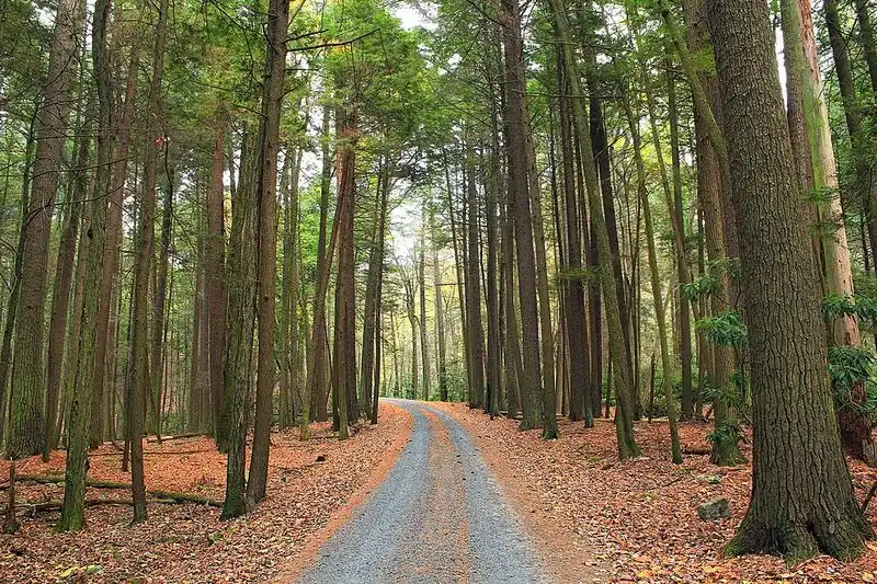 The Tranquil Atmosphere