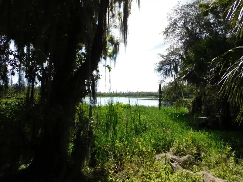 Walking Through Florida&rsquo;s Native Landscapes