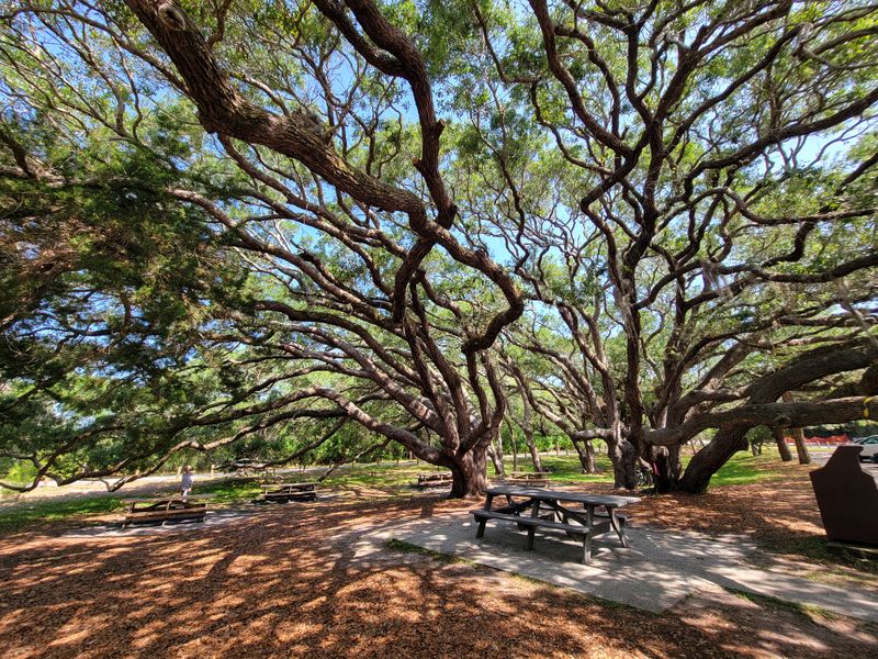 Nature Trails and Wildlife