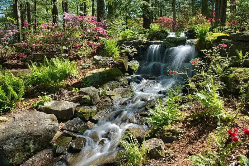 Family-Friendly Exploration