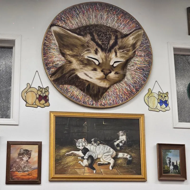 Exploring Cat History