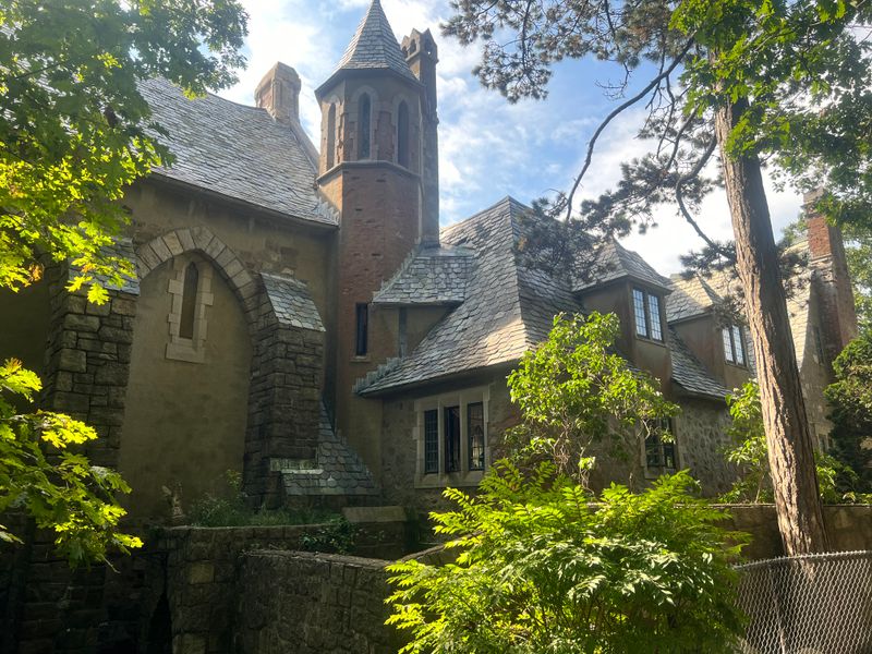 The Enchanted Surroundings