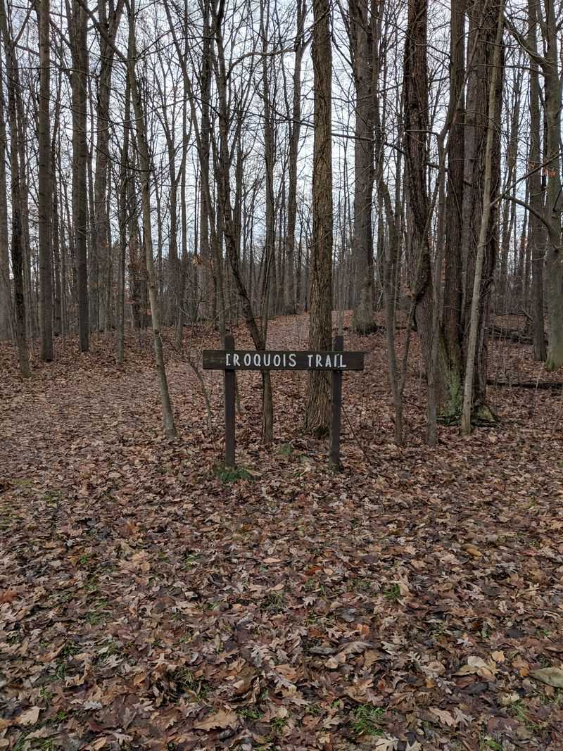 Trails and Trail-Running: Loops for Any Pace