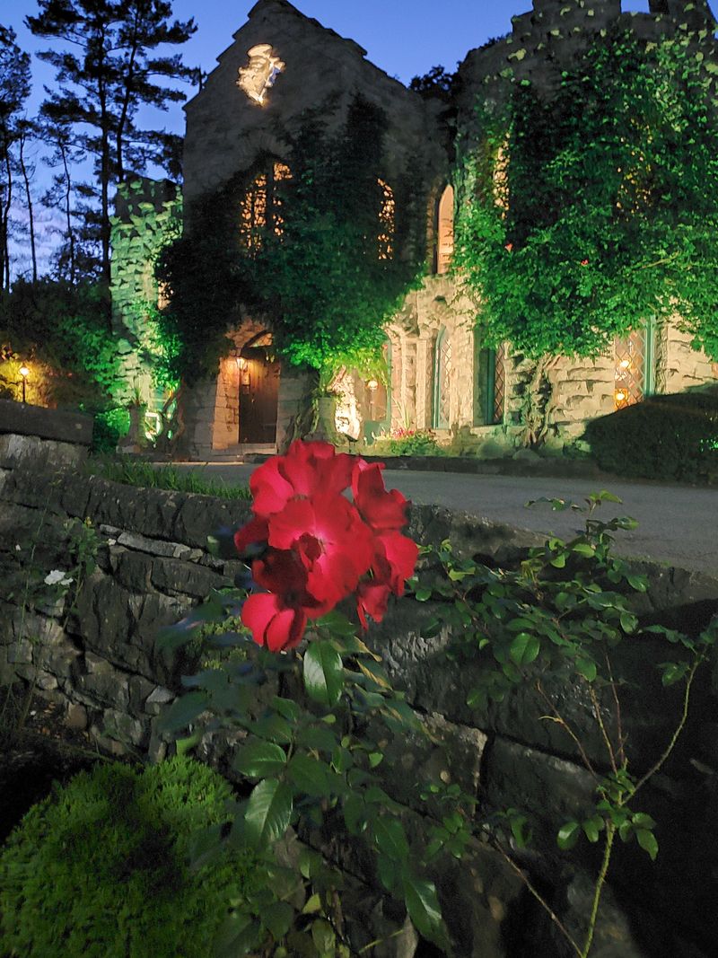 Murder Mystery Dinner Nights