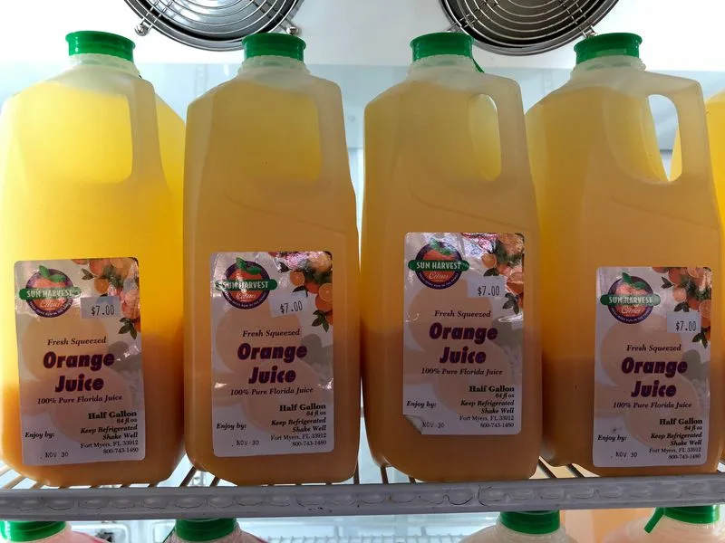 Fresh-Squeezed Citrus and Juices