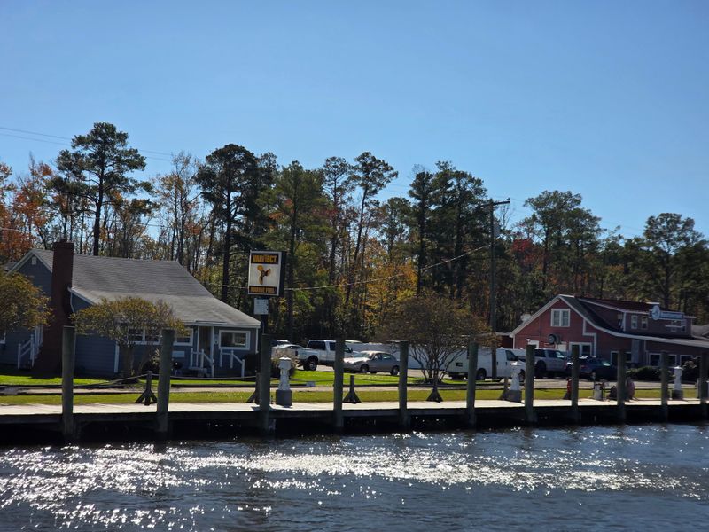 Waterfront Vibes and Dockside Arrival