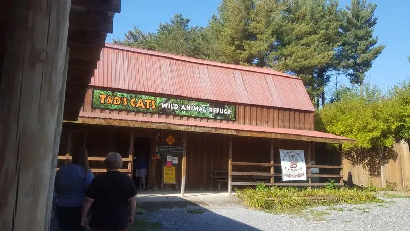 The Mischievous Monkeys