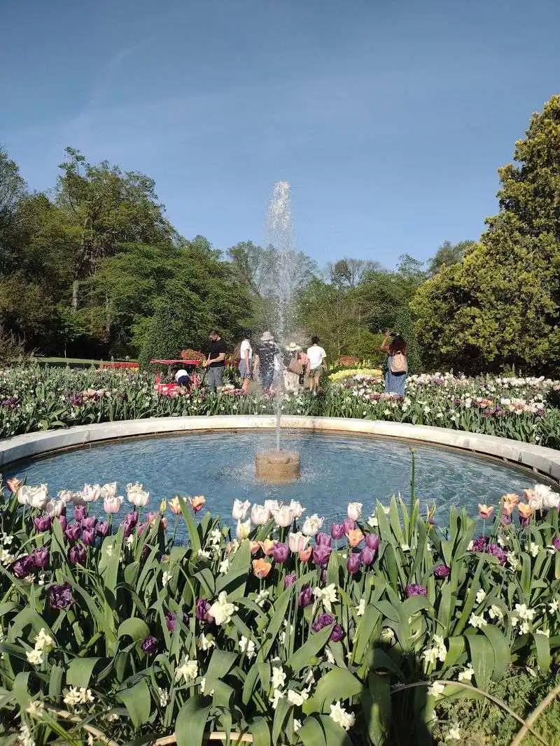 Seasonal Flower Garden Walk