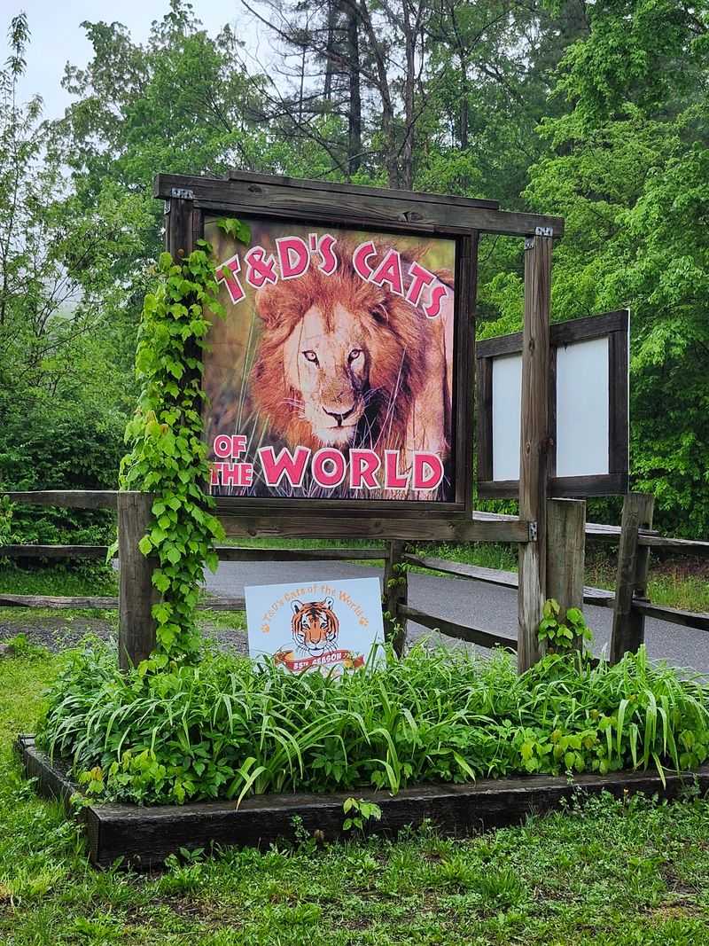 Educational Tours