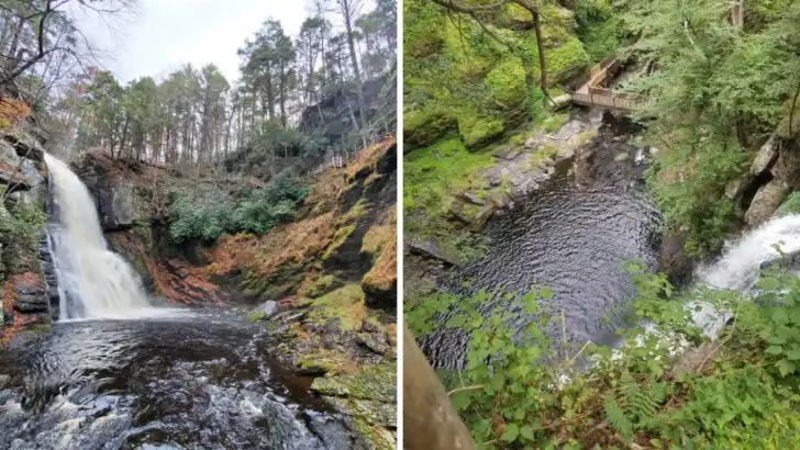 The &ldquo;Niagara of Pennsylvania&rdquo; plunges 300 feet through ancient hemlock forests