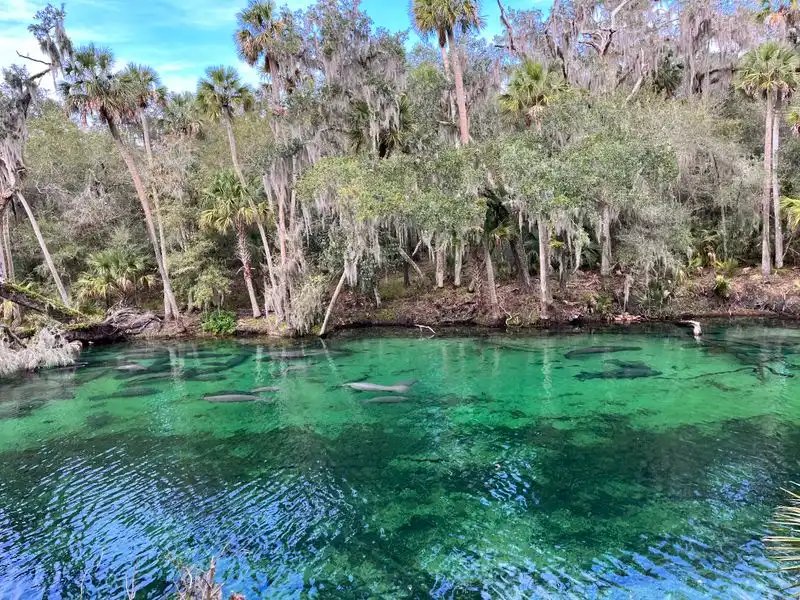 Blue Spring State Park & River Road (Orange City to DeLand)