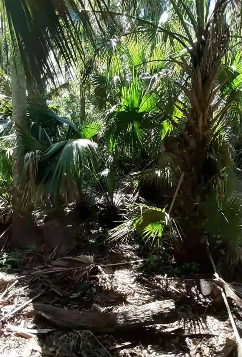 Why the Mound Still Matters Today