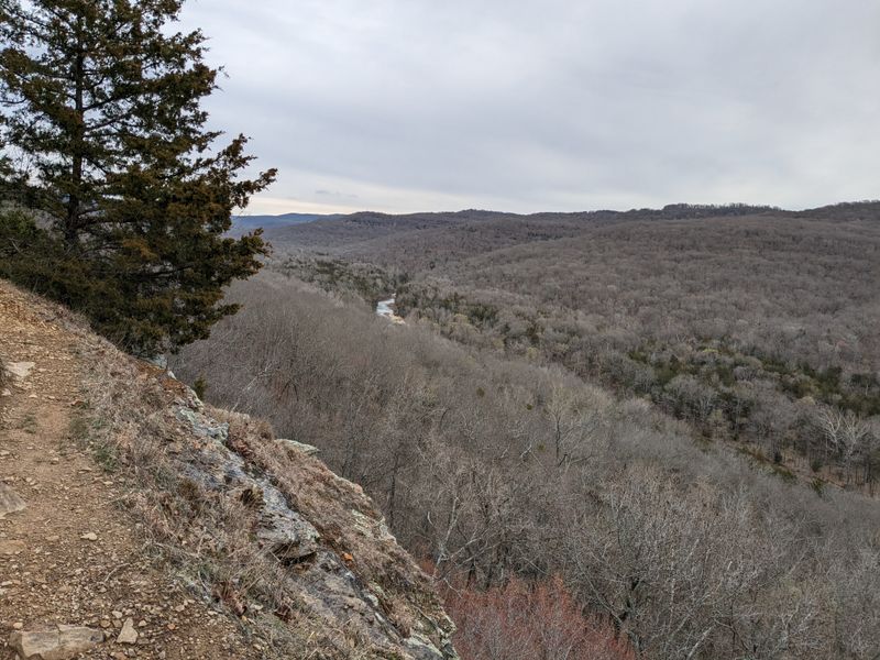 Yellow Rock Overlook: A Place to Pause