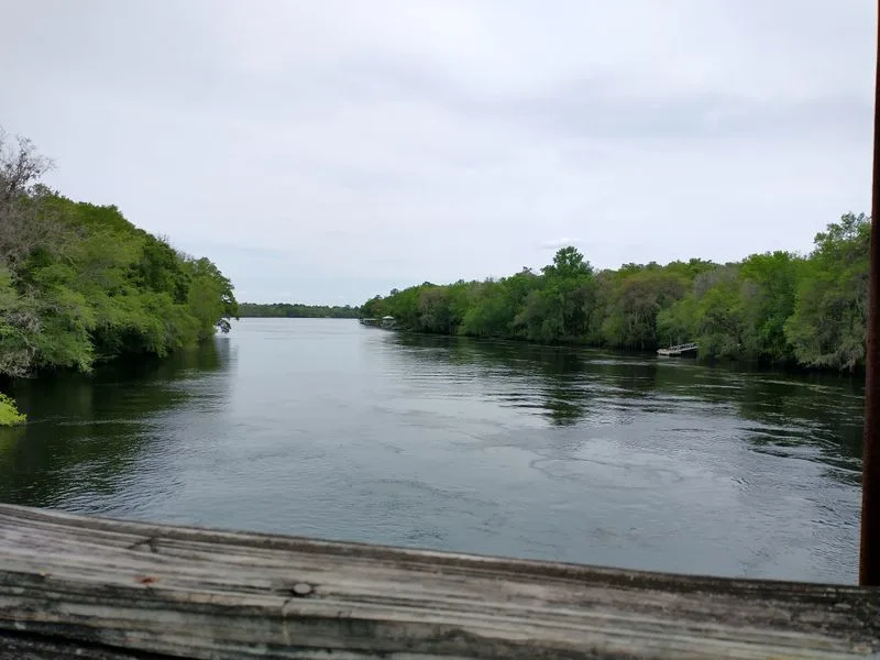 Flora and Fauna: Nature's Palette