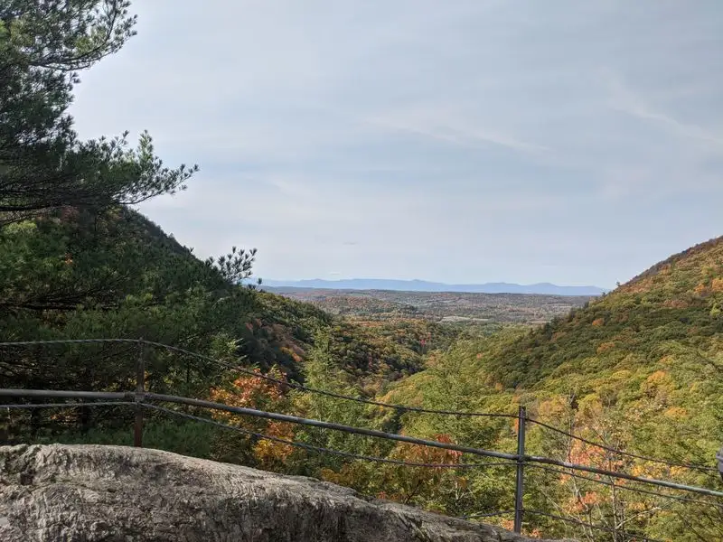 Safety and Park Etiquette: Fences, Footing, and Wildlife