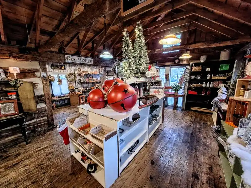 Plan your visit: hours, timing, and crowds