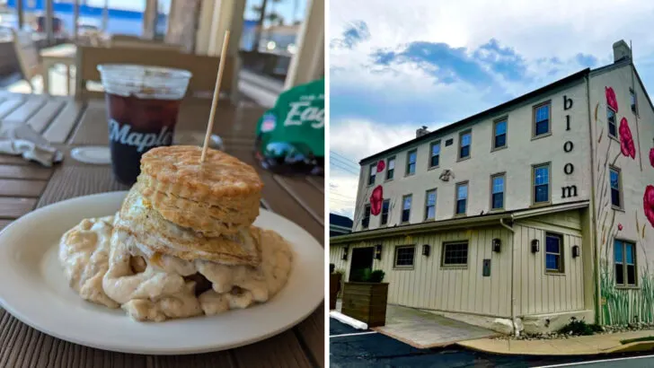 The best biscuit spot in every state serving Southern comfort