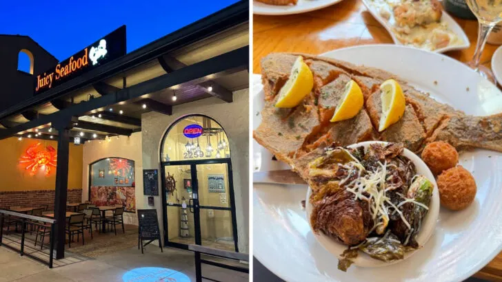 The best catfish restaurant in every Southern state