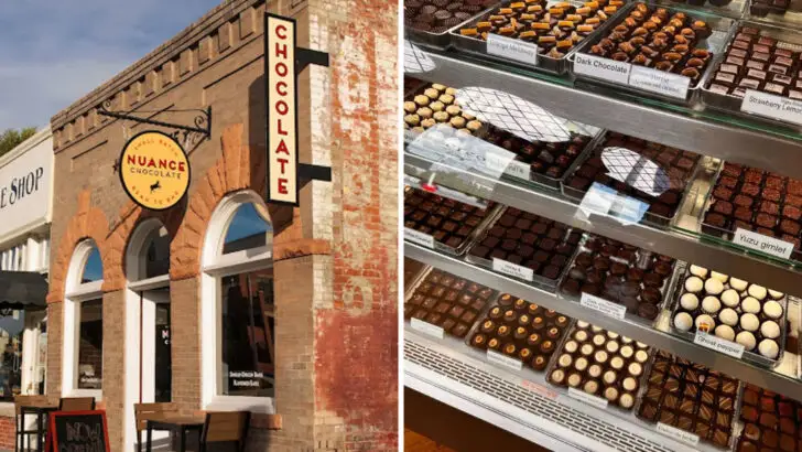 The best chocolate shop in every state for handmade treats
